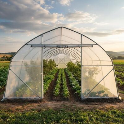 Zippered Door Greenhouse Tunnels With Galvanized Steel Frame And Waterproof PE Film Cover For Optimal Crop Growth